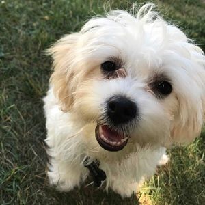 Meet your Posher, Kendall